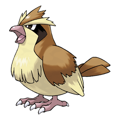 Pidgey, a normal/flying-type Pokemon