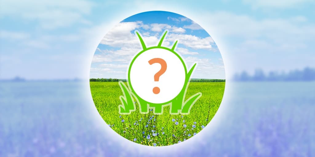 Eevee Spotlight Hour - July 23, 2026